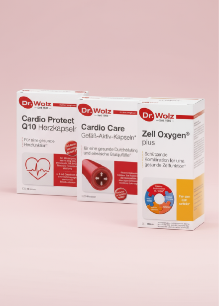 Cardiovascular Energy Program