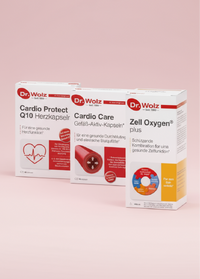 Cardiovascular Energy Program