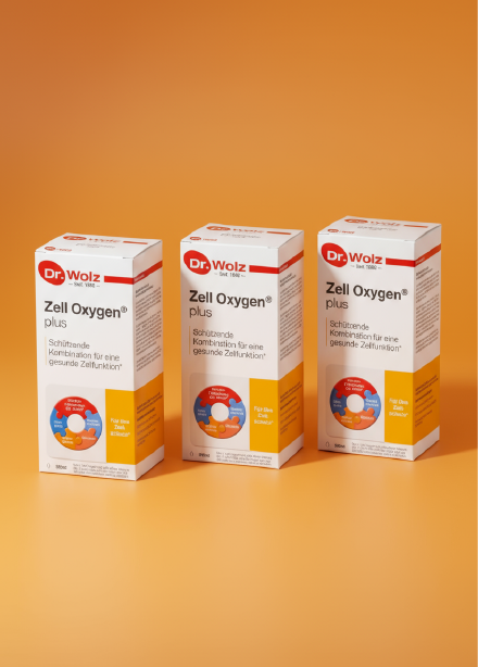 Sports Recovery & Performance Program